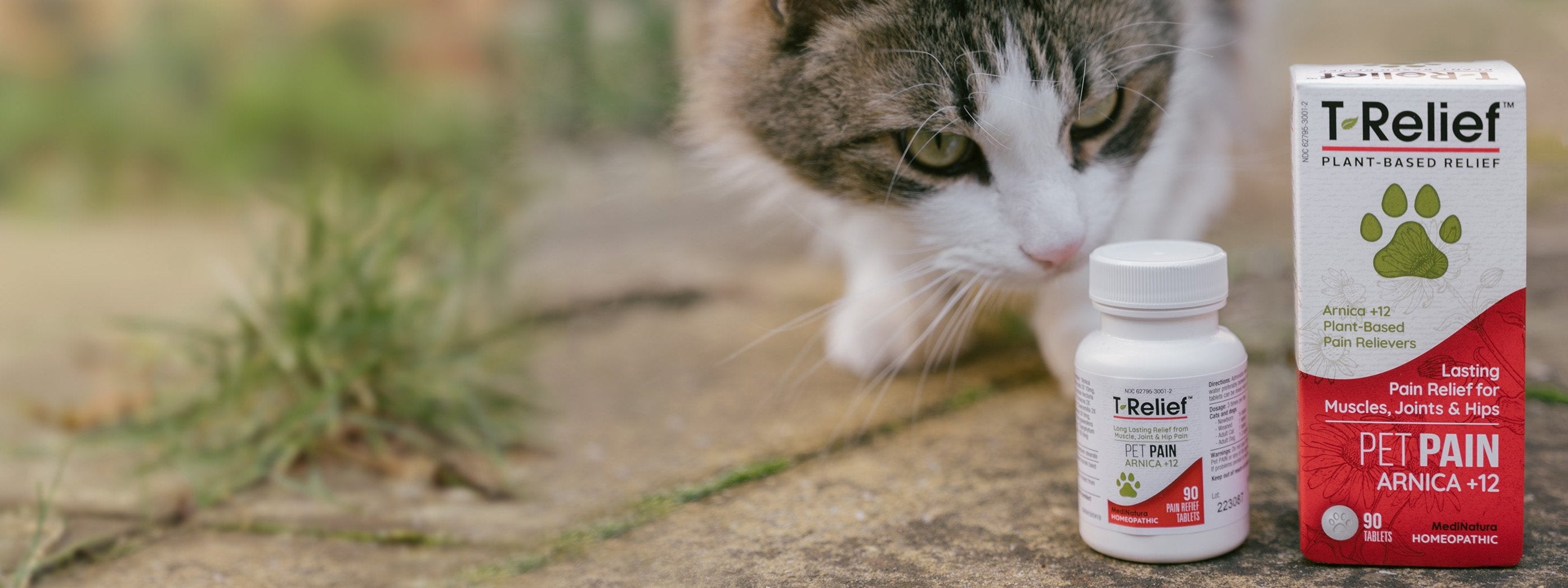 Plant-Based Relief for Pet Pain, T-Relief with Arnica